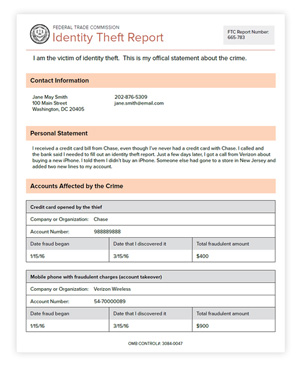 Image of an FTC Identity Theft Report.